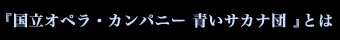 『国立オペラ・カンパニー 青いサカナ団』とは